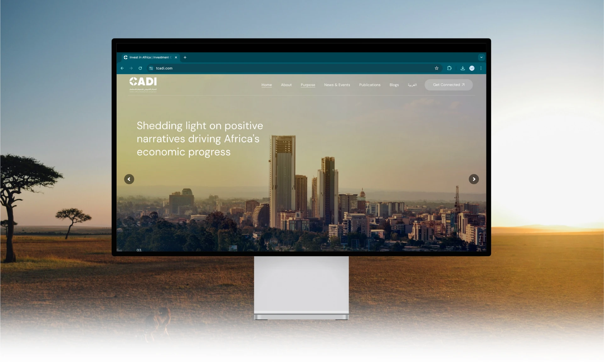 CADI Website Development